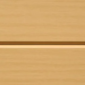 Rock Maple