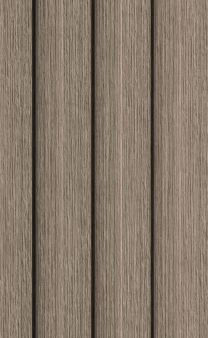 Cedar Cedar