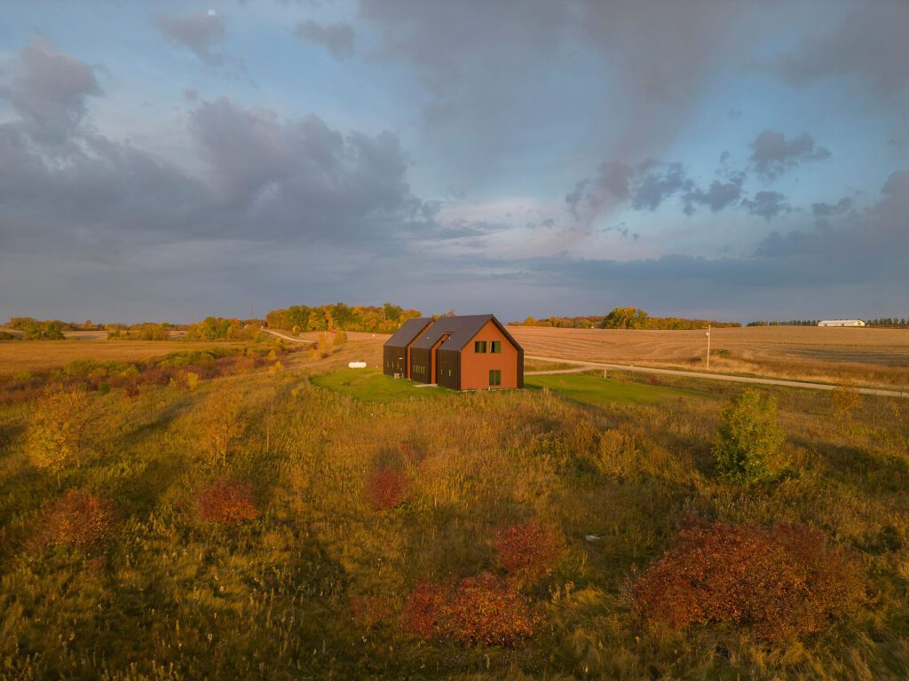 Prairie_Pelican_0174