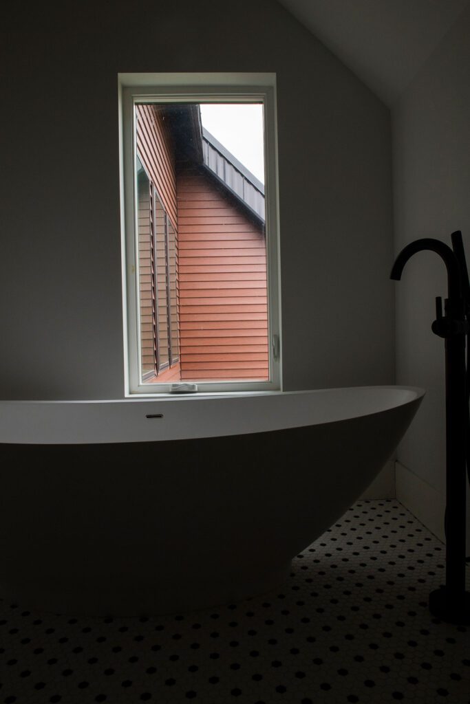 Prairie_Pelican_9714