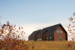 Prairie_Pelican_MN_9568