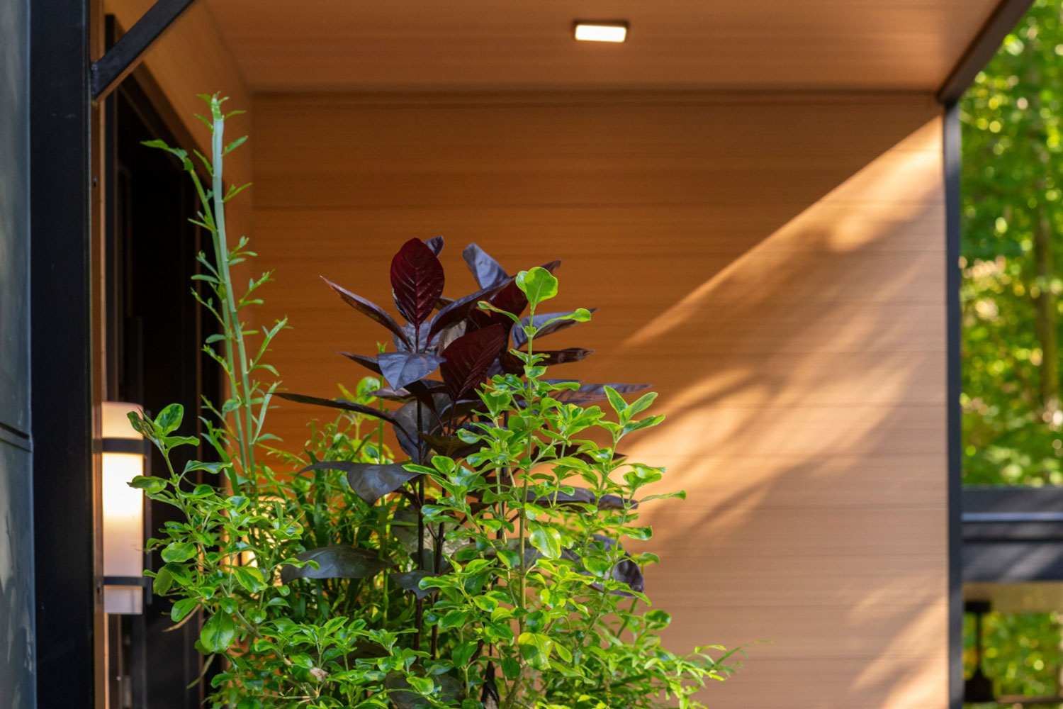 Top Trends in Steel Siding for Modern Homes