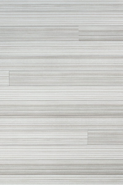 483 Sand Dollar 483 Sand Dollar