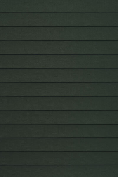 Single 6" 307 Ripe Olive Single 6" 307 Ripe Olive